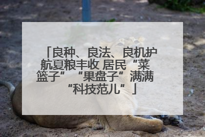 良种、良法、良机护航夏粮丰收 居民“菜篮子”“果盘子”满满“科技范儿”