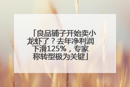 良品铺子开始卖小龙虾了？去年净利润下滑125%，专家称转型极为关键
