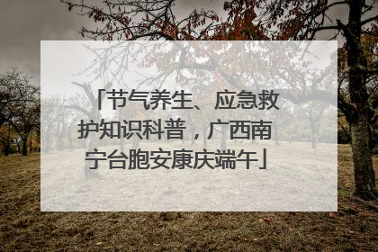 节气养生、应急救护知识科普，广西南宁台胞安康庆端午