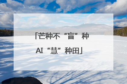芒种不“盲”种 AI“慧”种田