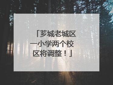 芗城老城区一小学两个校区将调整！