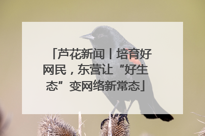 芦花新闻丨培育好网民，东营让“好生态”变网络新常态