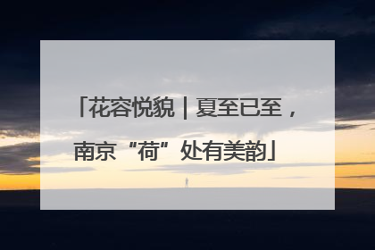 花容悦貌｜夏至已至，南京“荷”处有美韵