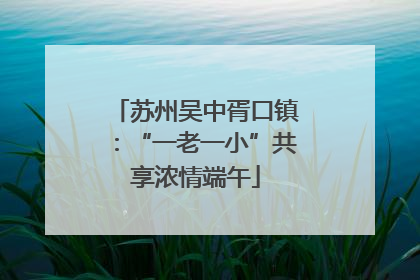苏州吴中胥口镇：“一老一小”共享浓情端午