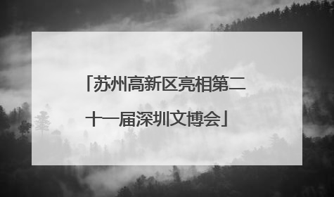 苏州高新区亮相第二十一届深圳文博会
