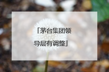 茅台集团领导层有调整