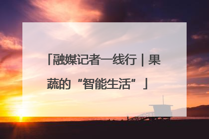 融媒记者一线行｜果蔬的“智能生活”