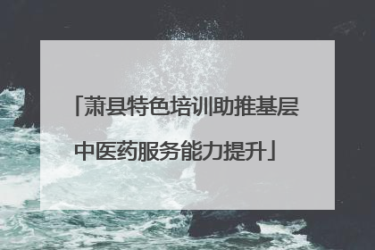 萧县特色培训助推基层中医药服务能力提升