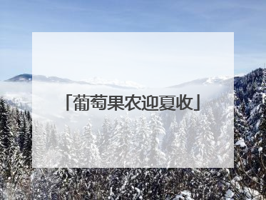 葡萄果农迎夏收