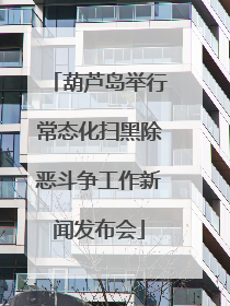 葫芦岛举行常态化扫黑除恶斗争工作新闻发布会