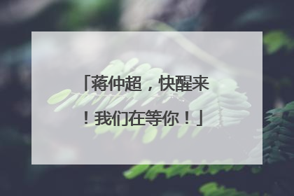 蒋仲超，快醒来！我们在等你！