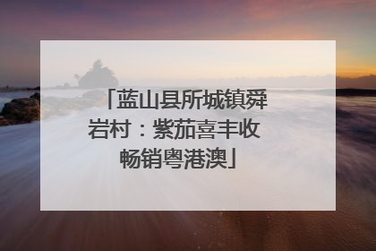 蓝山县所城镇舜岩村：紫茄喜丰收 畅销粤港澳