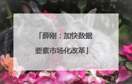薛刚：加快数据要素市场化改革