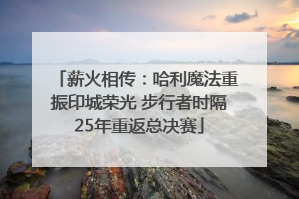 薪火相传：哈利魔法重振印城荣光 步行者时隔25年重返总决赛