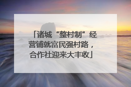 诸城“整村制”经营铺就富民强村路，合作社迎来大丰收