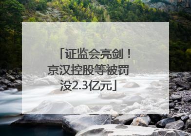 证监会亮剑！京汉控股等被罚没2.3亿元
