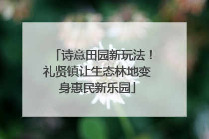 诗意田园新玩法！礼贤镇让生态林地变身惠民新乐园