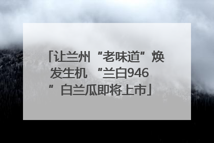 让兰州“老味道”焕发生机 “兰白946”白兰瓜即将上市