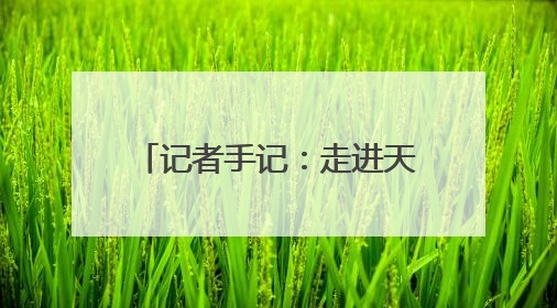 记者手记：走进天津港，窥见未来现代化港口的模样