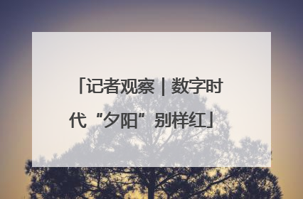 记者观察｜数字时代“夕阳”别样红