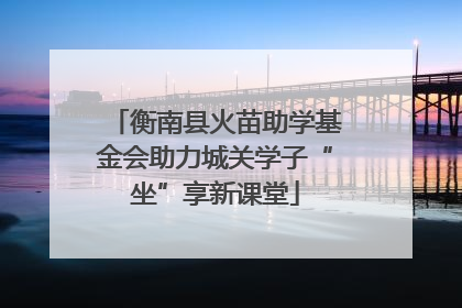 衡南县火苗助学基金会助力城关学子“坐”享新课堂