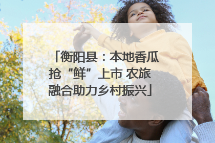 衡阳县：本地香瓜抢“鲜”上市 农旅融合助力乡村振兴