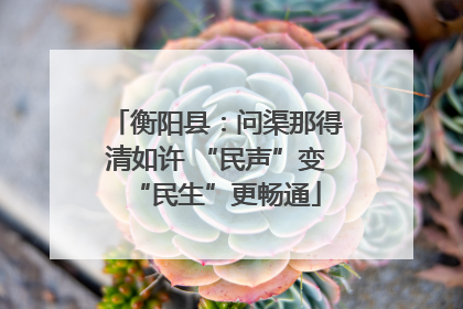 衡阳县：问渠那得清如许 “民声”变“民生”更畅通