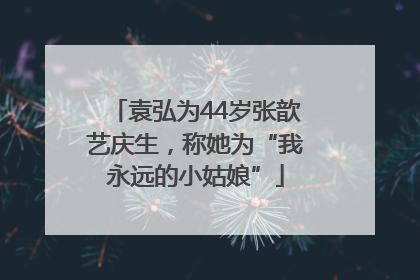 袁弘为44岁张歆艺庆生，称她为“我永远的小姑娘”