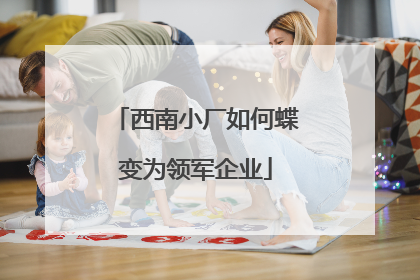 西南小厂如何蝶变为领军企业