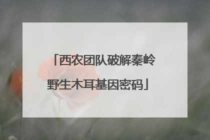 西农团队破解秦岭野生木耳基因密码