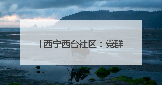 西宁西台社区：党群携手 “粽”享温情