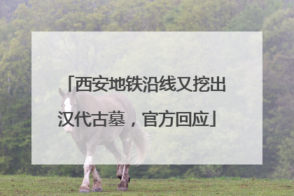 西安地铁沿线又挖出汉代古墓，官方回应