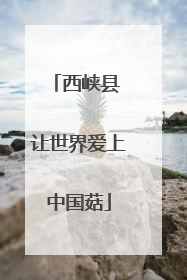 西峡县 让世界爱上中国菇