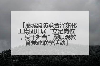 襄城消防联合泽东化工集团开展“立足岗位，实干担当”履职观教育党建联学活动