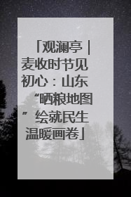 观澜亭｜麦收时节见初心：山东“晒粮地图”绘就民生温暖画卷
