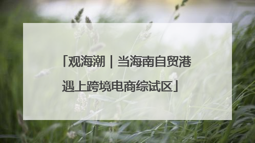 观海潮｜当海南自贸港遇上跨境电商综试区