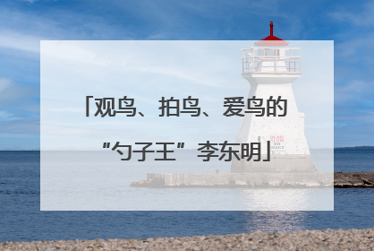 观鸟、拍鸟、爱鸟的“勺子王”李东明