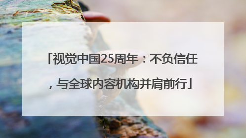 视觉中国25周年：不负信任，与全球内容机构并肩前行