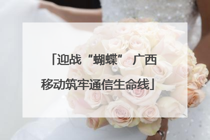 迎战“蝴蝶” 广西移动筑牢通信生命线
