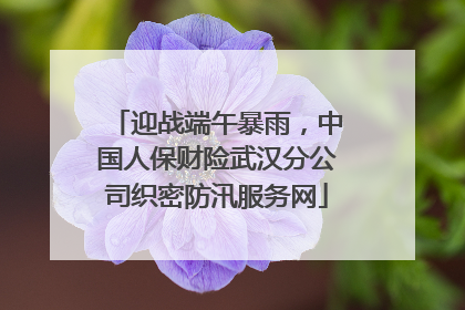 迎战端午暴雨，中国人保财险武汉分公司织密防汛服务网