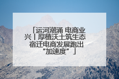 运河潮涌 电商业兴丨厚植沃土筑生态 宿迁电商发展跑出“加速度”