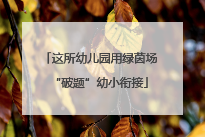 这所幼儿园用绿茵场“破题”幼小衔接
