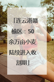 连云港赣榆区：50余万亩小麦陆续进入收割期