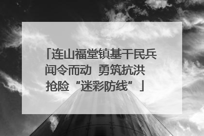连山福堂镇基干民兵闻令而动  勇筑抗洪抢险“迷彩防线”