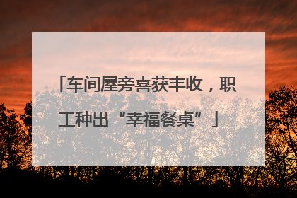 车间屋旁喜获丰收，职工种出“幸福餐桌”