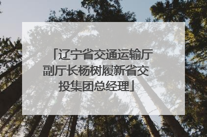 辽宁省交通运输厅副厅长杨树履新省交投集团总经理