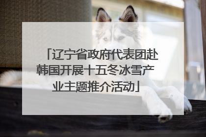 辽宁省政府代表团赴韩国开展十五冬冰雪产业主题推介活动