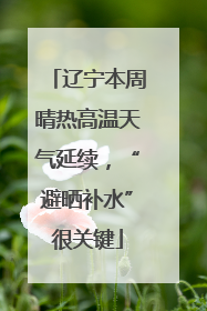 辽宁本周晴热高温天气延续，“避晒补水”很关键