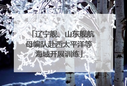 辽宁舰、山东舰航母编队赴西太平洋等海域开展训练