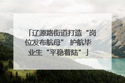 辽源路街道打造“岗位发布航母” 护航毕业生“平稳着陆”